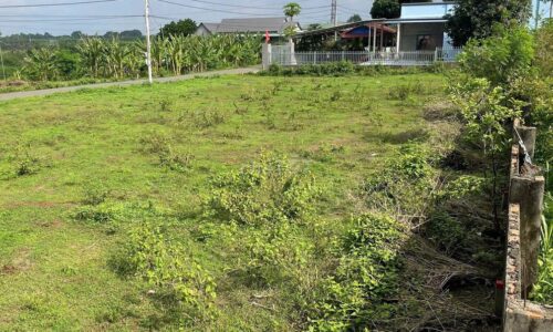 GIA ĐÌNH TÔI CẦN BÁN LẠI LÔ ĐẤT VƯỜN ÔNG BÀ ĐỂ LẠI, Ở THỊ TRẤN CỦ CHI