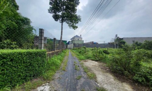 (ĐẤT NGỘP) – Đất nền Củ Chi, 5×21=105m2, 100% thổ cư, đường Suối Lội, xã Phước Vĩnh An