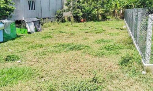 BÁN ĐẤT THỔ CƯ ĐƯỜNG BÊ TÔNG XÃ PHƯỚC THẠNH ,CỦ CHI DT:200m2 355tr