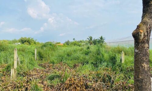 HOT HÒN HỌT BÁN GẤP LÔ ĐẤT ĐOÀN MINH TRIẾT, CỦ CHI GIÁ SIÊU HỜI 5x31m2