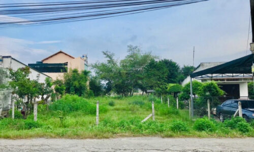 Đang phải nợ ngân hàng nên bán nhanh lô đất 110m2 (5x22m) Đường Suối Lội, Tân Thông Hội, Củ Chi