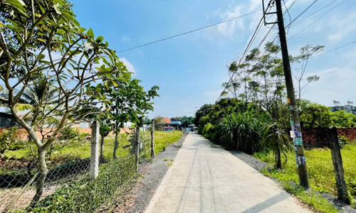 CHỦ CẦN BÁN GẤP LÔ ĐẤT ĐẸP MẶT TIỀN ĐƯỜNG SỐ 79 TÂN THONG HỘI CỦ CHI GIÁ 450TR