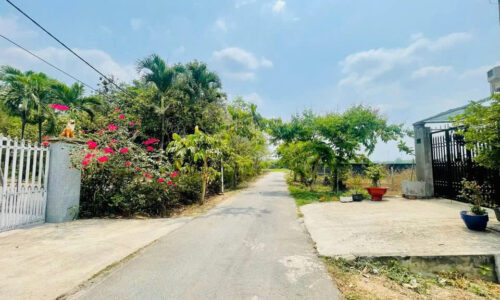 Chuyển về quê sinh sống bán gấp lô đất Tân Thông Hội củ chi 160m2 giá bán 450 triệu