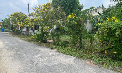 Lô đất nằm trên đường Cây Bài, cáchTỉnh lộ 15 chưa tới 1km – Gía 490 triệu,SHR
