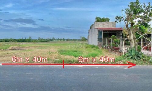 Bán đất đường Hồ Văn Tắng, Củ Chi.Mặt tiền kinh doanh 12m, giá 710Tr
