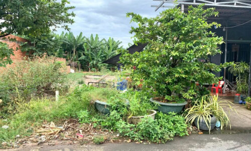 BÁN NHANH LÔ ĐẤT FULL THỔ 100m² NGAY XÃ TÂN AN HỘI, CỦ CHI – GIÁ 420 TRIỆU