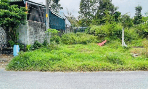 Anh trai em đang cần bán gấp lại lô đất ở đường Liêu Bình Hương Sổ Hồng Riêng Giá nét căng