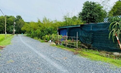 125m2 thổ cư sát bên KCN Tân Phú Trung Giá cắt lỗ 440 Triệu