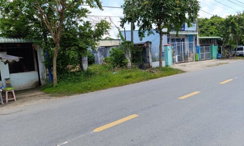 Lô đất Tân Thạnh Đông Củ Chi, chủ kẹt tiền cần bán gấp diện tích 250m2, giá 650 triệu, sổ riêng,