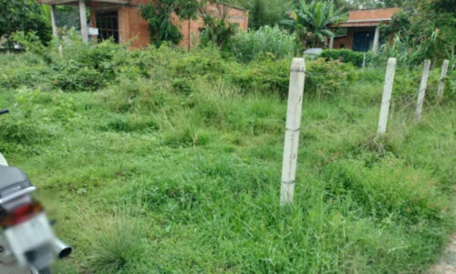 CHỦ CẦN BÁN NGỘP LÔ ĐẤT Ở PHƯỚC THẠNH , CỦ CHI 200M2 GIÁ 500 TRIỆU