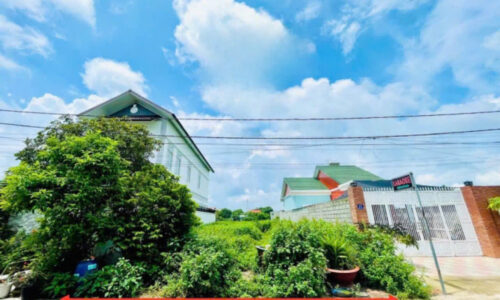 CHỦ GỬI LÔ ĐẤT Ở TT CỦ CHI 260M2 GIÁ 530 TRIỆU