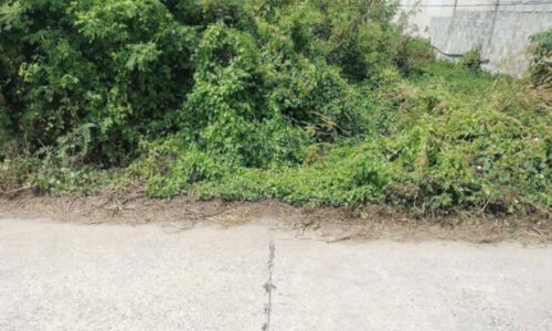 BÁN ĐẤT Ở XÃ PHƯỚC THẠNH , CỦ CHI DIỆN TÍCH 103M2 GIÁ 400 TRIỆU