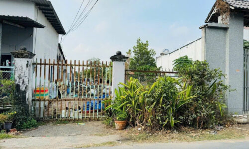 Chủ gửi đất ngộp đường Trần Thị Cẩm, đất Tân Phú Trung. DT 73m2, sổ hồng riêng, giá 500 tròn vo