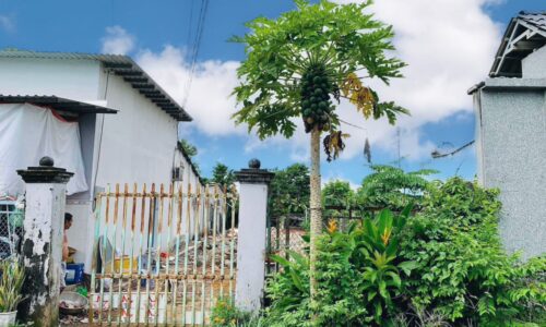 Bán đất Xã Tân Phú Trung 8×30=240m có 120m Thổ Cư, Đường 67 (Cách BV Xuyên Á 800m) giá cực rẻ