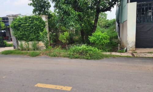 Đất thổ cư Tân Phú Trung, Củ Chi – 125m², sổ riêng, giá mềm 450tr