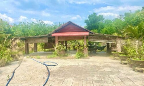 BÁN ĐẤT VƯỜN CỦ CHI 1000M2 XÃ TRUNG LẬP HẠ GIÁ CHỈ 800 TRIỆU