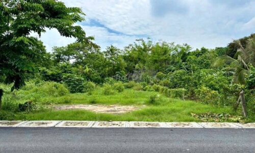 Bán cắt lỗ 120,8 m2 đất thổ cư mặt tiền đường nhựa Thị Trấn Củ Chi