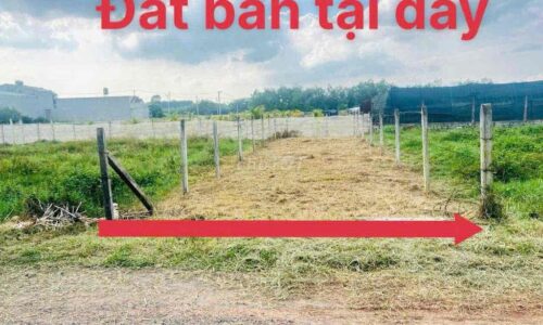 ĐẤT ĐƯỜNG BASA XÃ PHƯỚC HIỆP CỦ CHI 118m2 CHỈ CÓ 460 TRIỆU