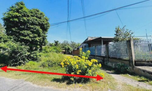 Bán đất vị trí đẹp cây Trôm Mỹ Khánh – sổ riêng, đường ô tô