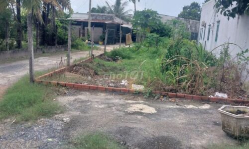 SIÊU PHẨM TÂN THÔNG HỘI – 209M² – CÓ GPXD 1/500 – GIÁ CHỈ 480 TRIỆU