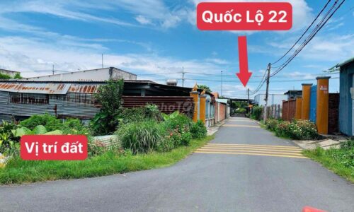 BÁN GẤP LÔ MT ĐƯỜNG NHỰA ,TÂN THÔNG HỘI, CỦ CHI DT 280M2 700tr SHR
