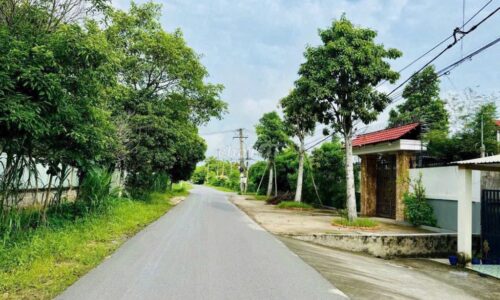 Bán gấp 1024m2 đất ở Hồ Văn Tắng,Tân Phú Trung, Củ Chi giá 800 triệu