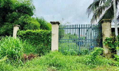 Chị Phượng cần tiền đầu tư nện bán rẻ lại lô đất ở PHƯỚC VĨNH AN – CỦ CHI dt 208m² giá 700tr