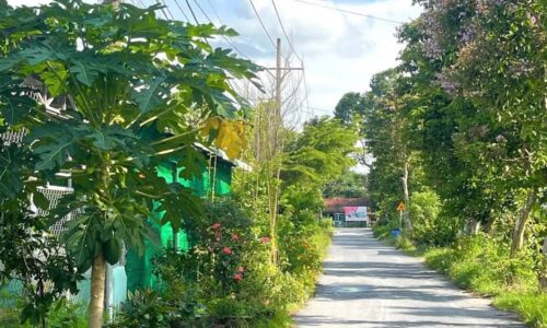 Cần bán lô đất thổ cư xã Phước Hiệp, Củ Chi cách ql 22 1km dt 263m2 giá 700 triệu
