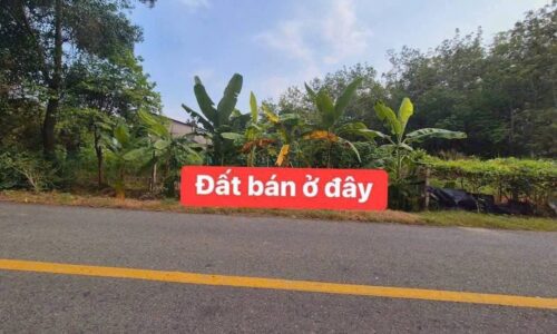a Thịnh cần bán lô đất ở An nhơn Tây , Củ Chi nằm gần đường TL 7 diện tích 184,4m2 giá 700 triệu