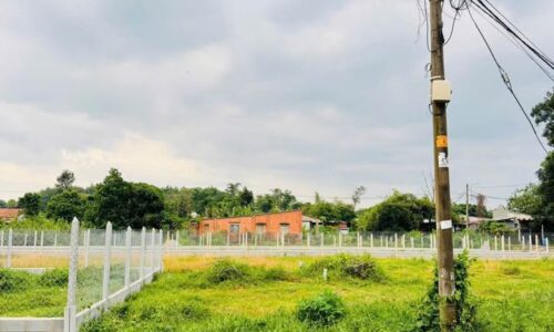 Cô Hoa cần tiền nên bay gấp miêng đất ở Xã Thái Mỹ Huyện Củ Chi diện tích 82,4m2 giá 400tr