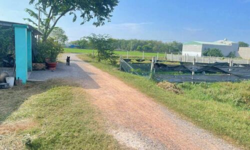 Chính chủ ngộp cần bán nhanh lô đất ngay PHƯỚC HIỆP – CỦ CHI 100m2 ngang 5 dài 20 . bán giá 400tr