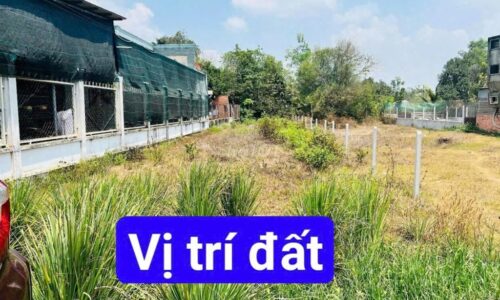 Cô chú 2 gửi BÁN LỖ 400m2 thổ cư full có 380tr/ nền ở củ chi, SHR