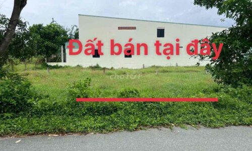 GĐ bán nhanh 263m2 mặt tiền đường Cao Thị Bèo, Phước Hiệp Củ Chi