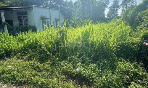 Gấp! Thiếu nợ cắt lỗ bán 315m2 đất mặt tiền Nguyễn Thị Lắng, Củ Chi