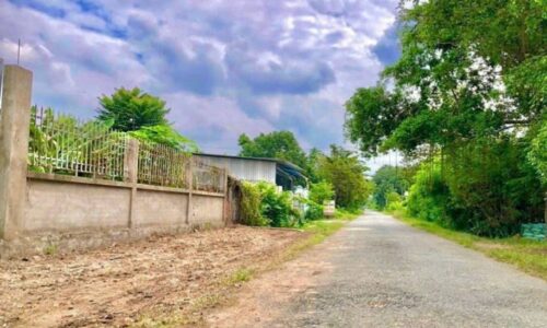 Cô Chú mua miếng đất vườn xây được căn nhà để nghỉ dưỡng giờ cần tiền 1000m2 500tr