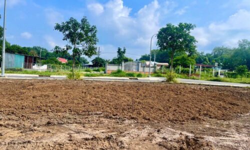 Cô Hoa cần tiền nên bay gấp miêng đất ở Xã Thái Mỹ Huyện Củ Chi diện tích 82,4m2 giá 400tr