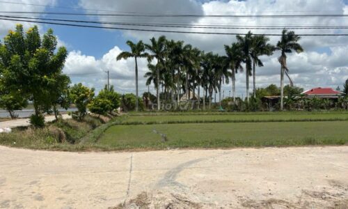 Bán đất huyện Củ Chi, xã Phước Thạnh, DT: 88m*21m, đường 9m, góc 2 MT