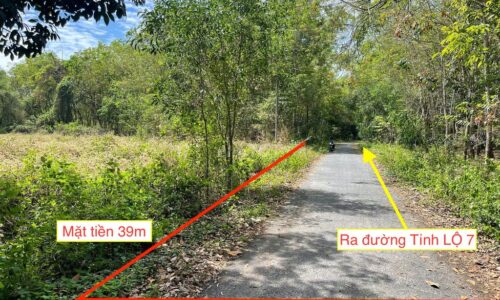 Đất bán xã ANT Củ Chi. Diện tích 4581m2 đất vườn khu dân cư giá cực rẻ