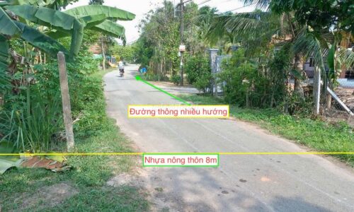 Bán đất xã Thái Mỹ 10×30 thổ cư 200m2. Giá bán 500 triệu có bớt.