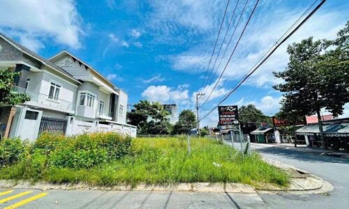 Bán đất gần đường BÀU TRE 2 , TÂN AN HỘI, huyện Củ Chi Ngang 5m x 26m ( Tổng:130m full thổ cư)