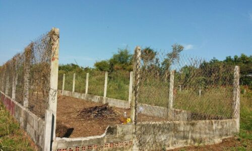 BÁN LÔ ĐẤT GIÁ RẺ – SỔ HỒNG RIÊNG – PHƯỚC THẠNH, CỦ CHI Giá chỉ: 740 triệu