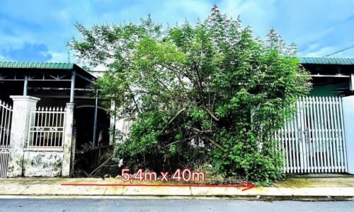 Chính chủ bán gấp lô 219m2 (ODT) Trung tâm thị trấn Củ Chi 550tr