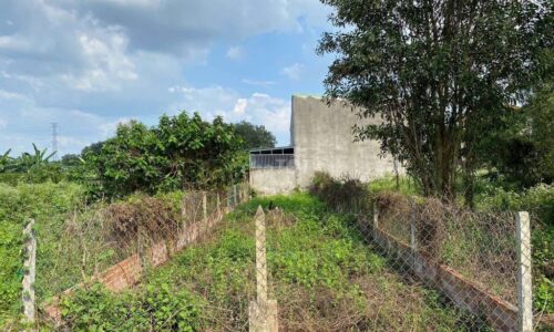 Tôi Bán Nhanh Đất MT đường nhựa Trung Lập Hạ Củ Chi