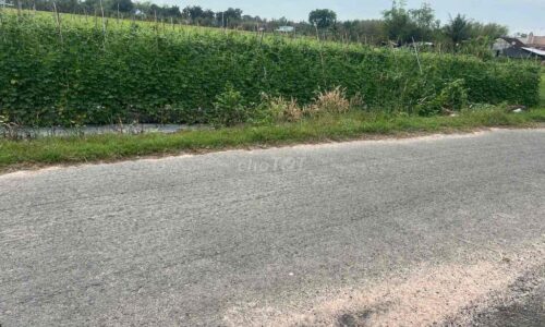 🌾🔥 CHÍNH CHỦ CẦN BÁN GẤP LÔ ĐẤT ĐẸP – XÃ THÁI MỸ, HUYỆN CỦ CHI 🔥🌾