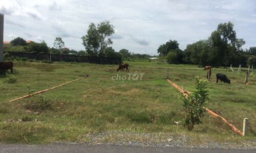 CẦN BÁN GẤP LÔ ĐẤT PHƯỚC HIỆP CỦ CHI 152m2 GIÁ 450TR ,SHR FULL THỔ CƯ