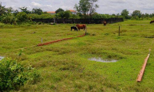 CHỦ NGỘP NGÂN HÀNG CẦN BÁN ĐẤT GIÁ RẺ – CỦ CHI, TP.HCM 🏡 📍 Vị trí: Xã Phước Hiệp, Huyện Củ Chi, TP.HCMC