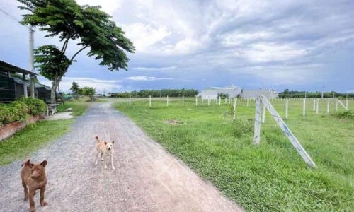 BÁN GẤP LÔ ĐẤT GIÁ SIÊU RẺ CHỈ 570 TRIỆU Vị trí: Xã Phước Hiệp, Huyện Củ Chi, TP.HCM