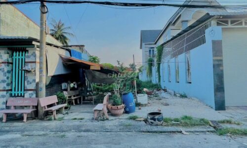 KẸT VỐN BÁN GẤP LÔ ĐẤT NHỰA 8M TRẦN TỬ BÌNH- CỦ CHI 6x30M FULL THỔ-SHR