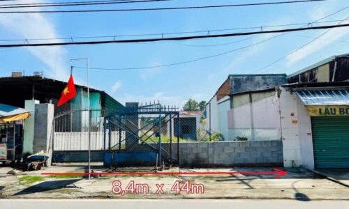 VỢ CHỒNG LY DỊ BÁN GẤP MT NHỰA TL2 CỦ CHI(8×43) 367m2 390TR,CÓ RÀO SẴN