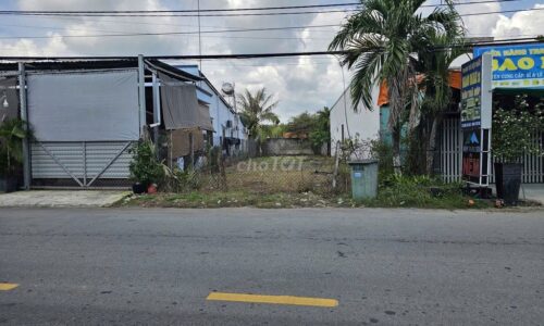 BÁN ĐẤT 100% THỔ CƯ TẠI ĐƯỜNG ĐOÀN MINH TRIẾT – THÁI MỸ – CỦ CHI